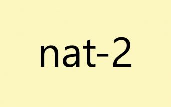Nat-2